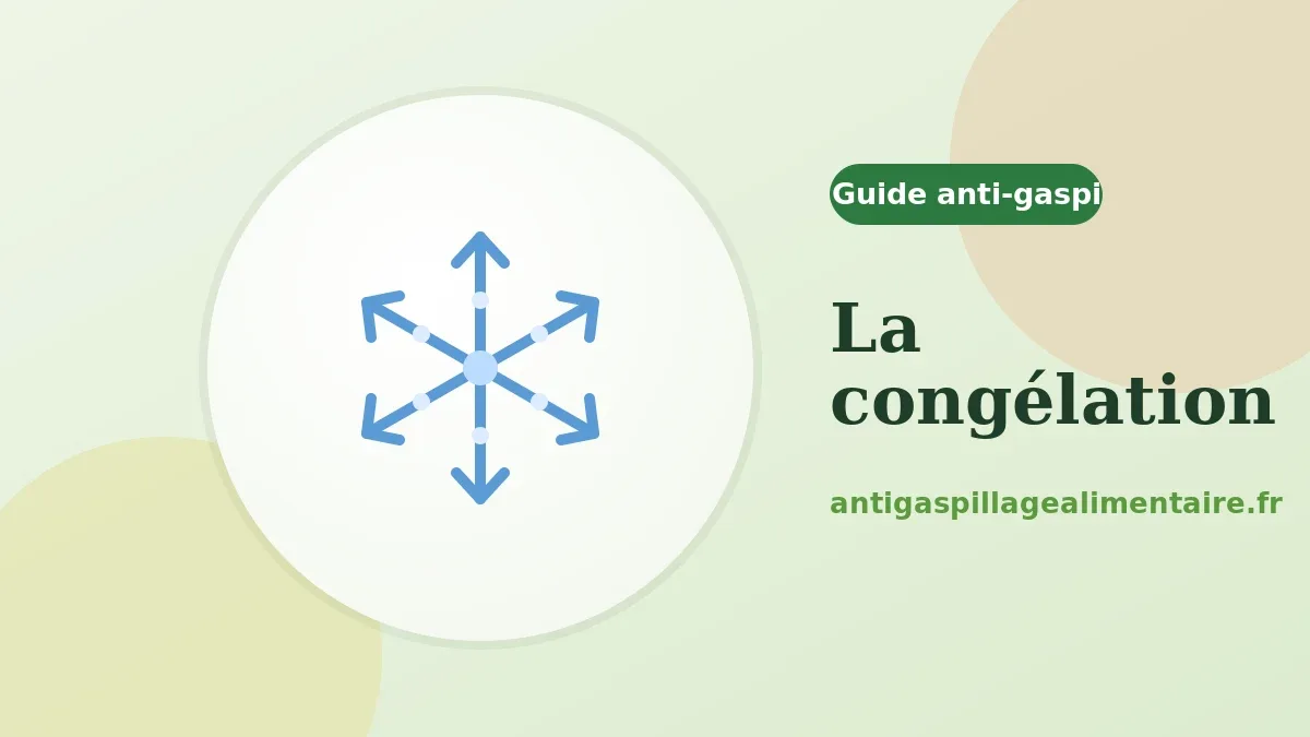 Que peut-on congeler et comment bien décongeler